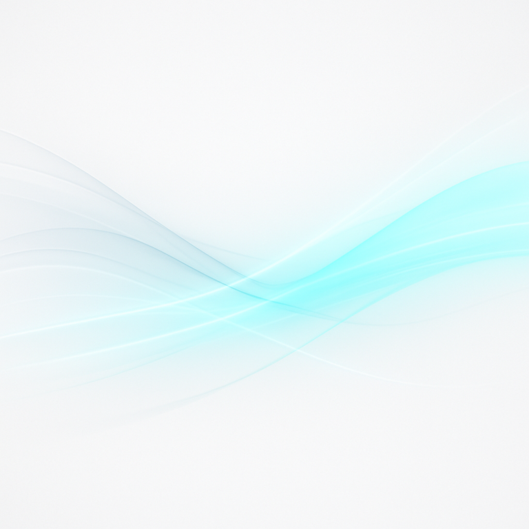 projet 2