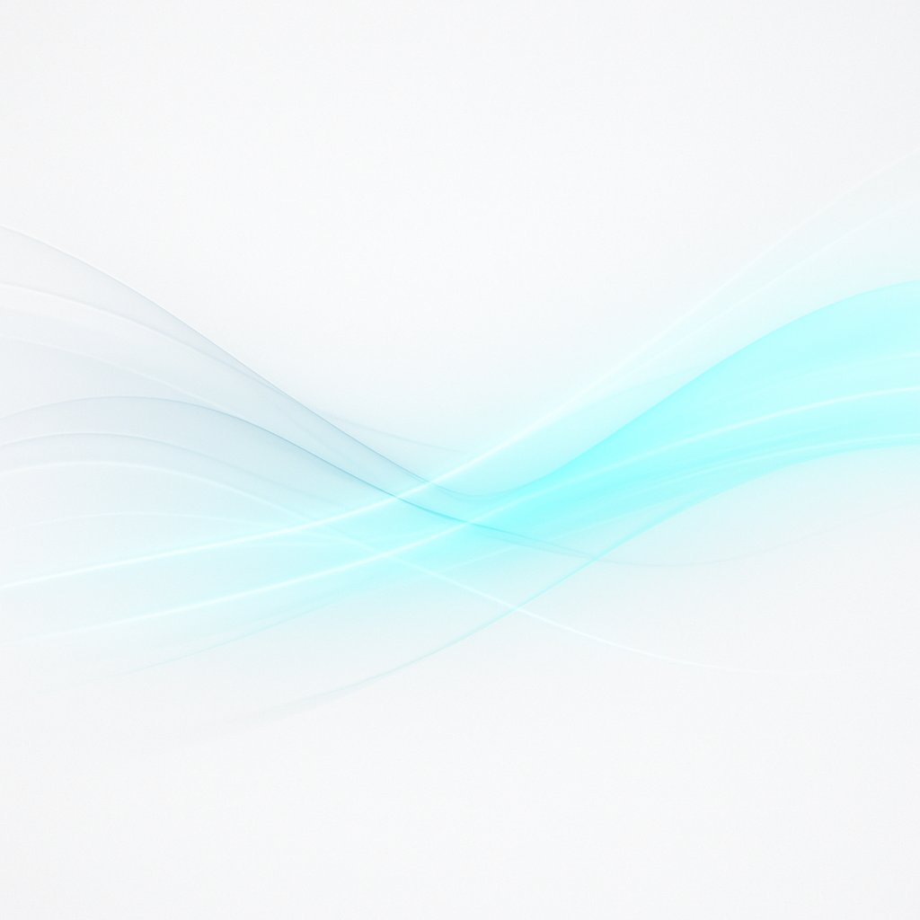 projet 2